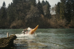 Aare12