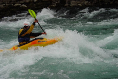 Aare29