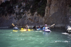 Pallaresa14