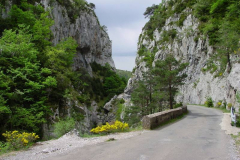 Subordan11