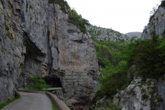 Subordan13