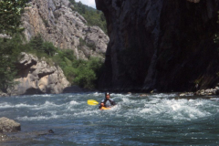 pallaresa13